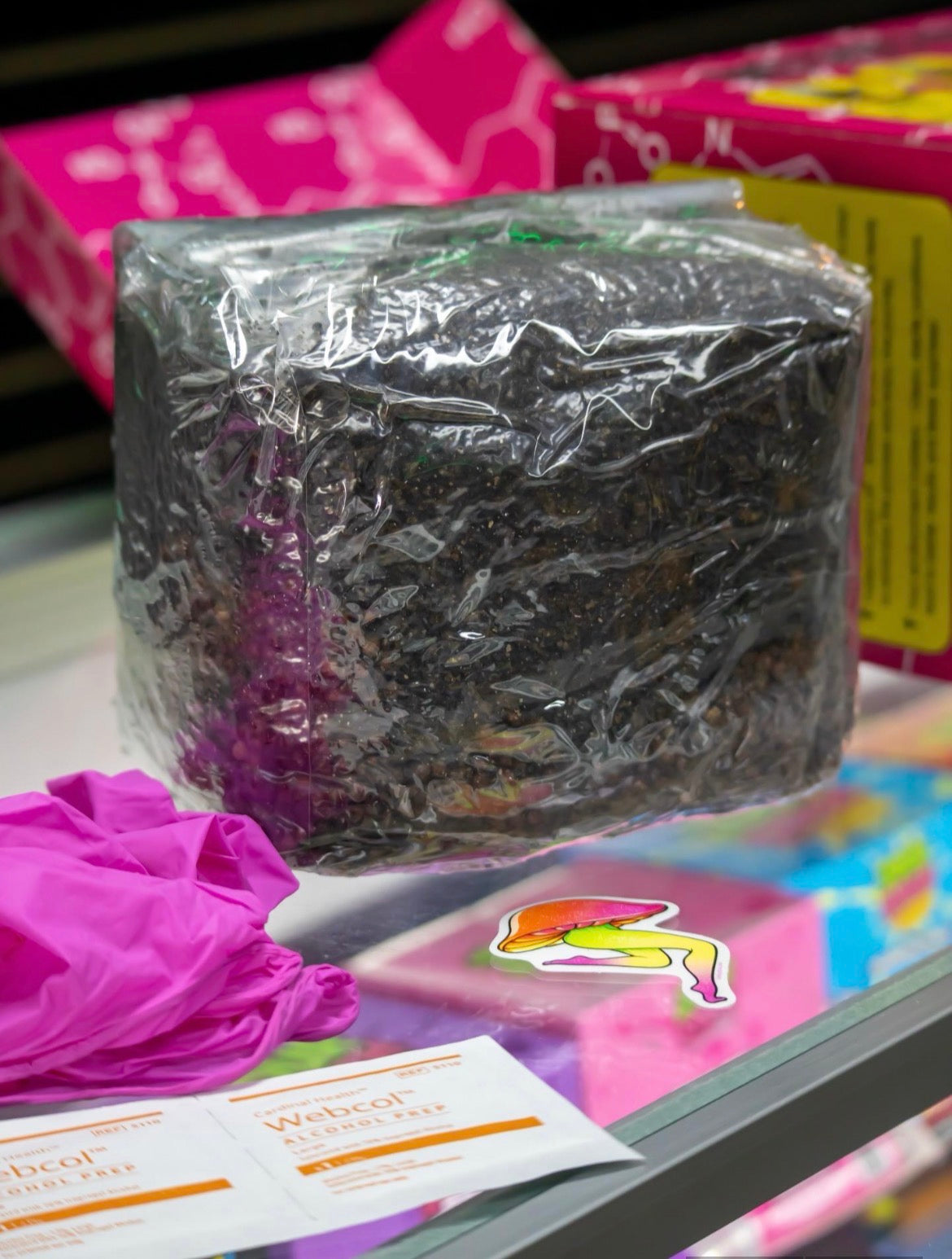 Lady Hyphae All-in-One Mushroom Grow Bag Complete Cultivation Kit 3 lb