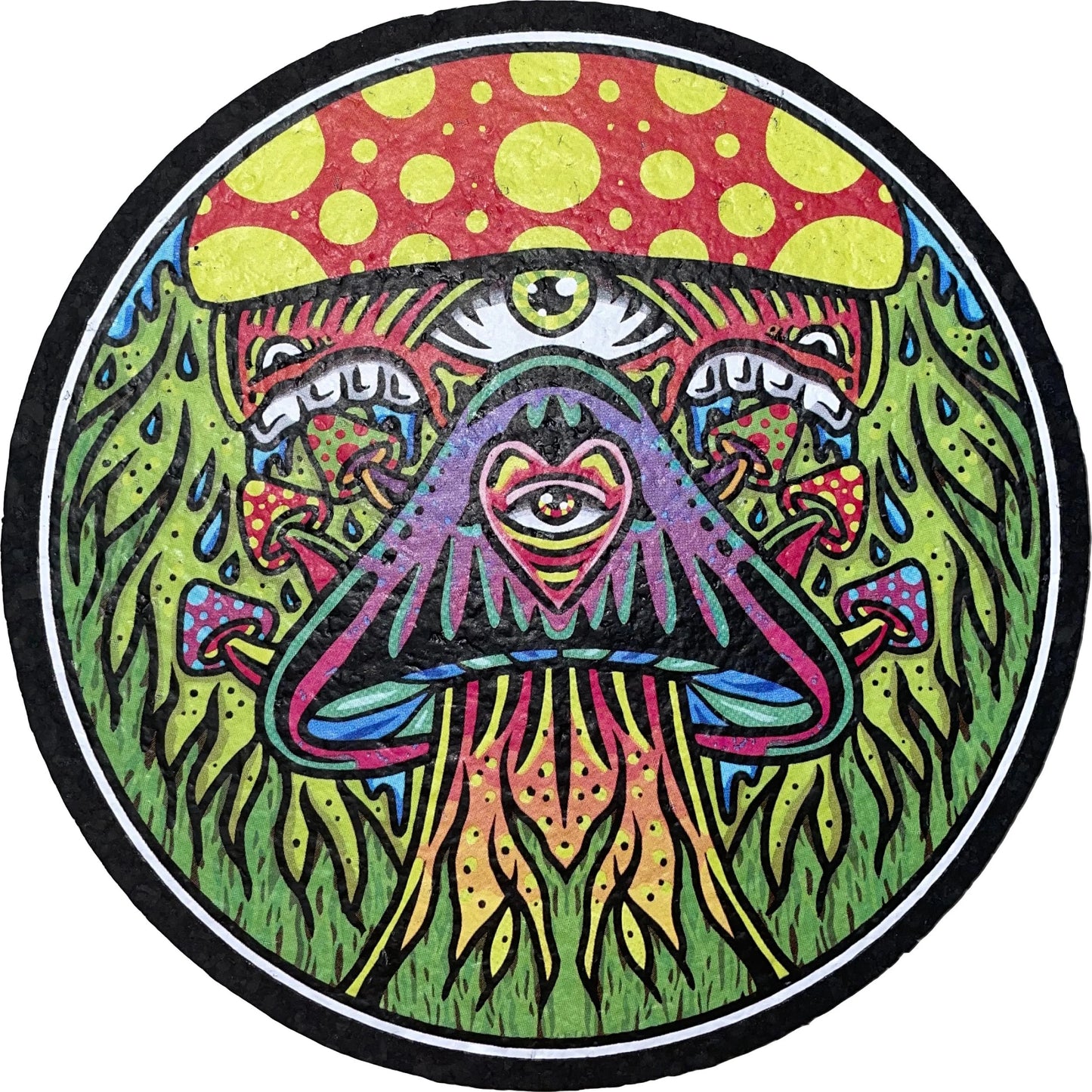 8” East Coaster – Fungal Forest