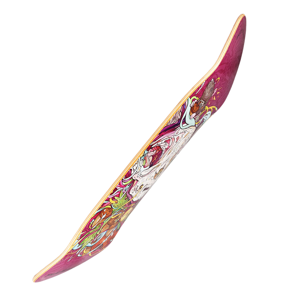 Pulsar Skateboard Deck